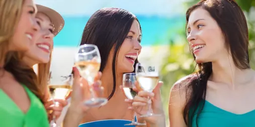 Group of people celebrating with wine glasses during a Waiheke Island Premium Wine Tour, enjoying scenic views and boutique vineyard tastings