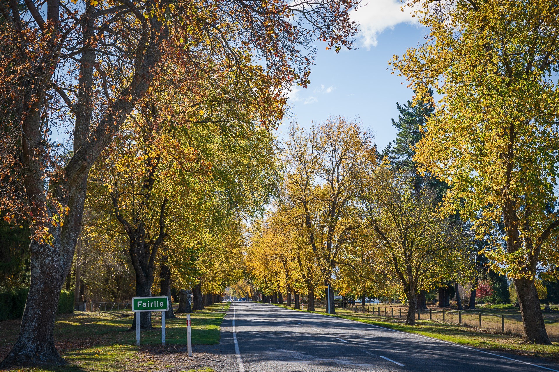 Autumn in Fairlie