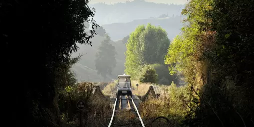 Rail cart crossing a small bridge in soft morning light on the Forgotten World Adventures rail trail.