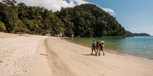 Anchorage Beach with golden sand and clear blue water in Abel Tasman National Park
