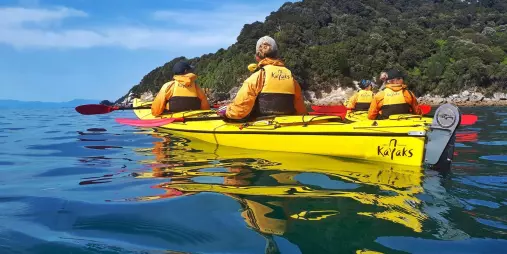 Group sea kayaking along the Marahau coast in Abel Tasman National Park