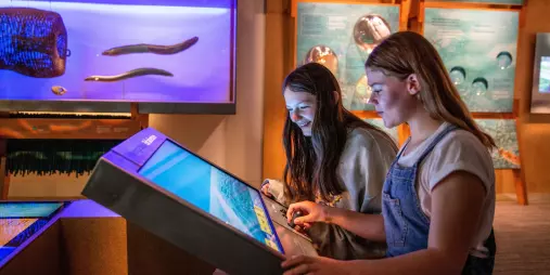 Two girls using an interactive freshwater exhibit at Te Papa museum in Wellington